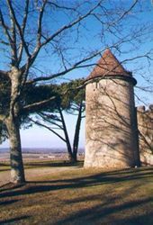 Château Yquem 1er cru Classé Supérieur Sauternes